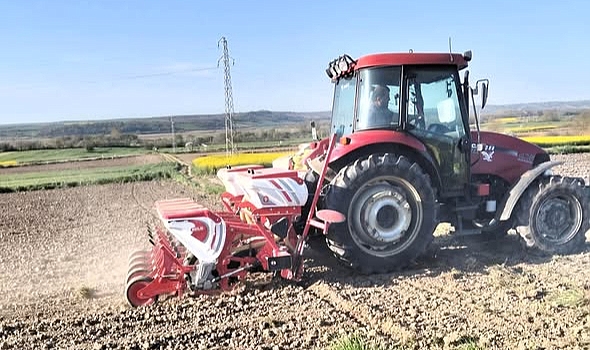 Kırklareli’nde Ayçiçeği Sezonu Başladı! Pehlivanköy’de Tohumlar Toprakla Buluştu