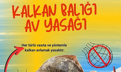 Kırklareli’nde Kalkan Balığı İçin Av Yasağı Uygulaması Başladı