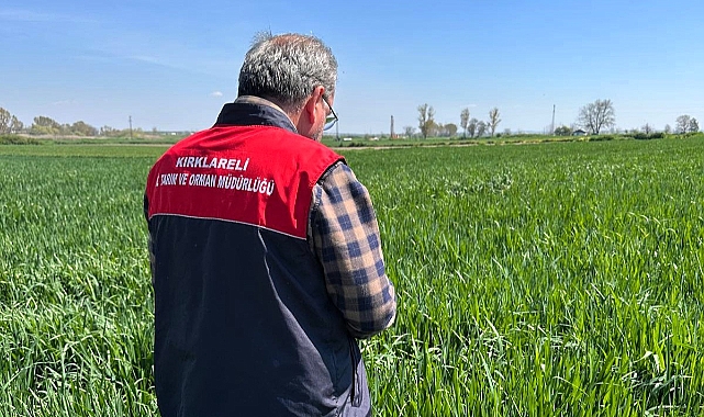 Kırklareli’nde Süne Alarmı! Yetkililerden Üreticilere Kritik Uyarı
