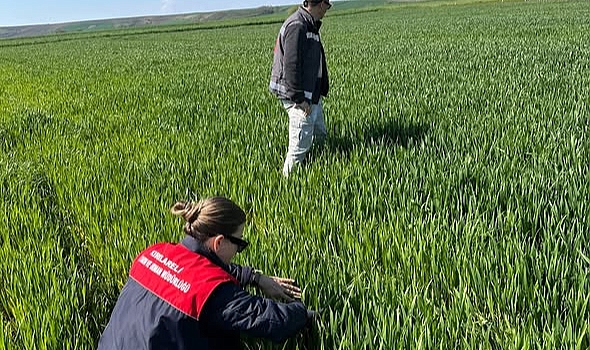 Kırklareli’nde Süne Sürveyi Çalışmaları Hız Kazandı