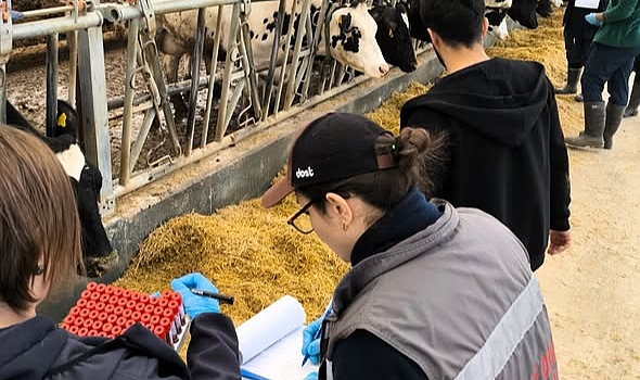 Kırklareli’nde Ari İşletmelerde Sağlık Denetimleri Devam Ediyor