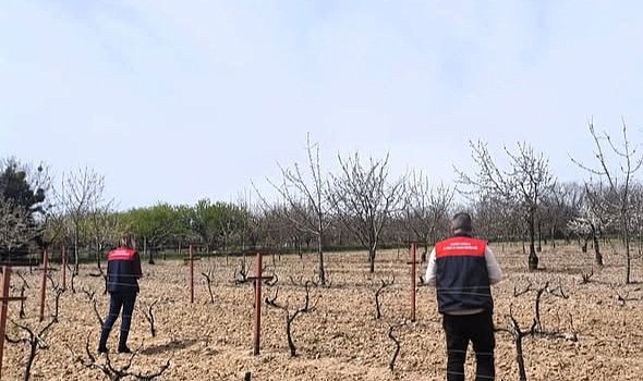Kırklareli’nde Tarımsal Üretimde Yeni Dönem: Meyve ve Bağ Alanları Mercek Altında