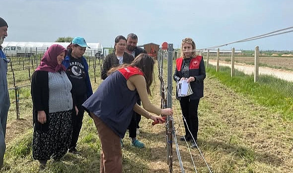 Kızılcıkdere Bağlarında Çevreci Mücadele Başladı