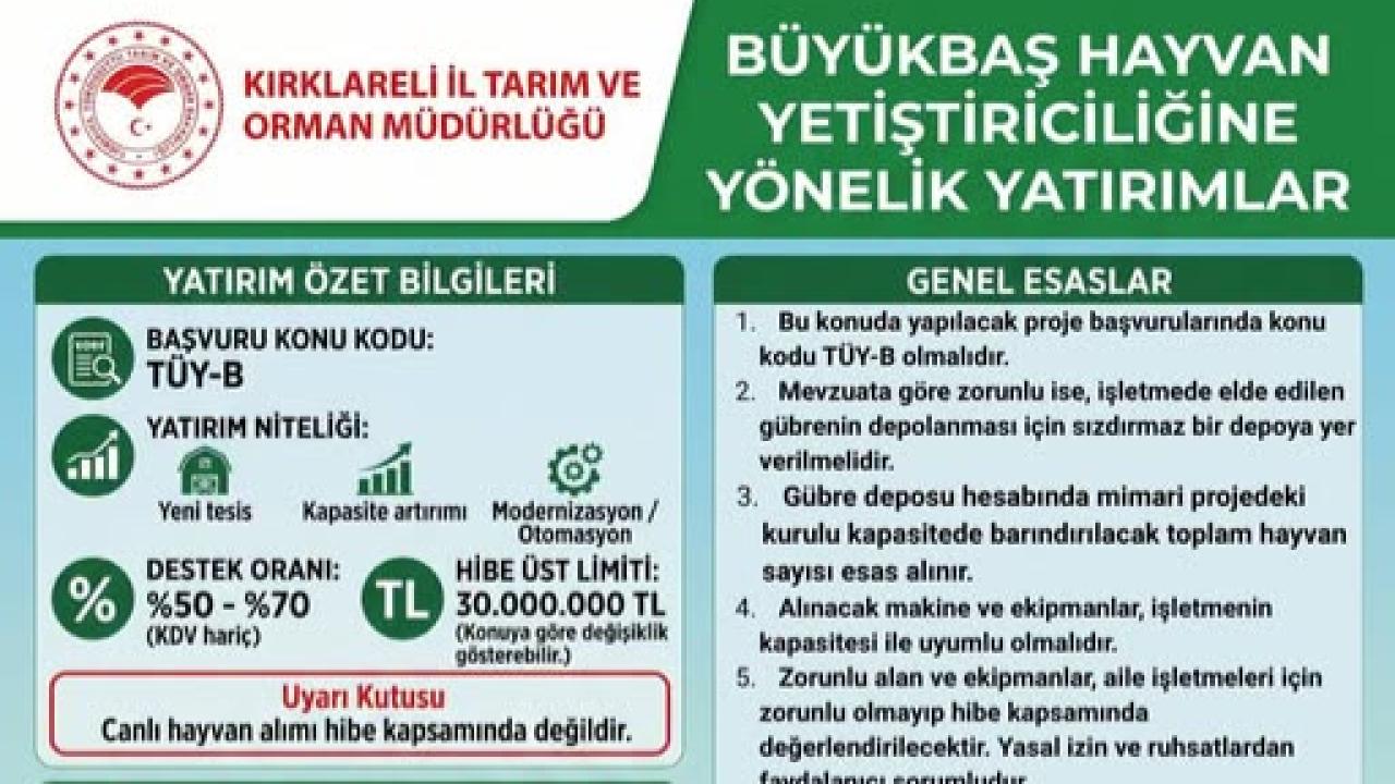 Büyükbaş Hayvan Yetiştiriciliğine Destek Başvuruları Başladı