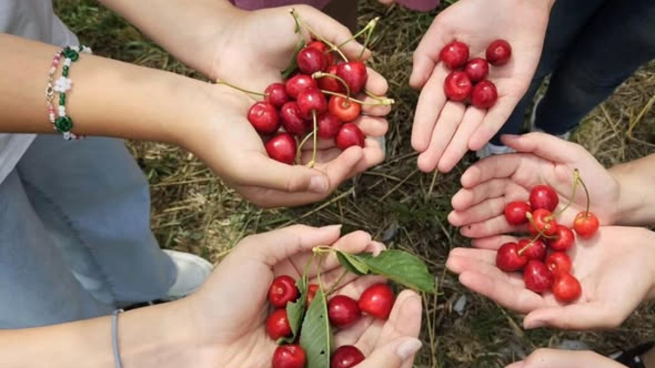 Çocuklar Hobi Bahçesinde Doğayla Buluştu