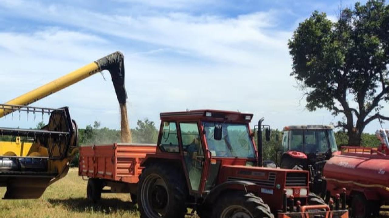 Kırklareli’nde Hasat Sezonunda Biçerdöver Denetimleri Devam Ediyor