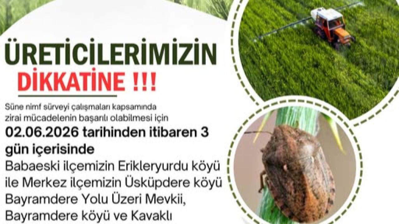 Kırklareli’nde Süne Zararlısına Karşı İlaçlı Mücadele Başlıyor