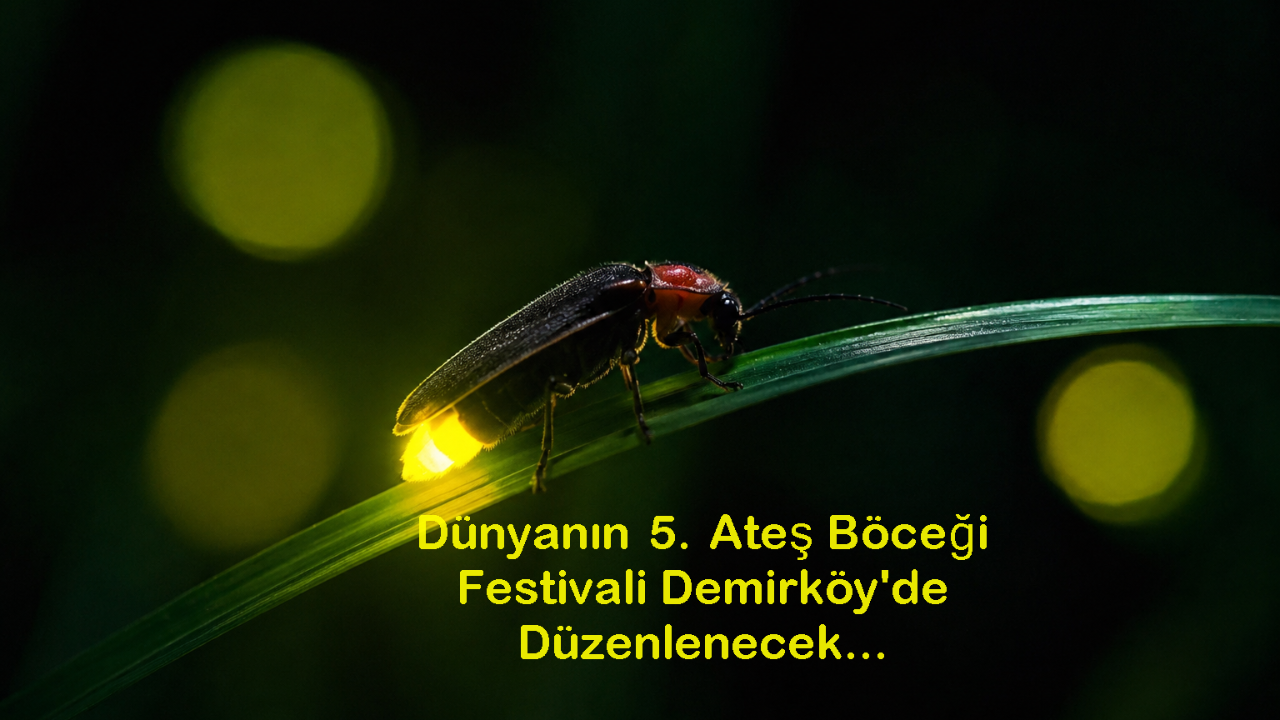 Türkiye'nin İlk Ateş Böceği Festivali Demirköy'de Başlıyor