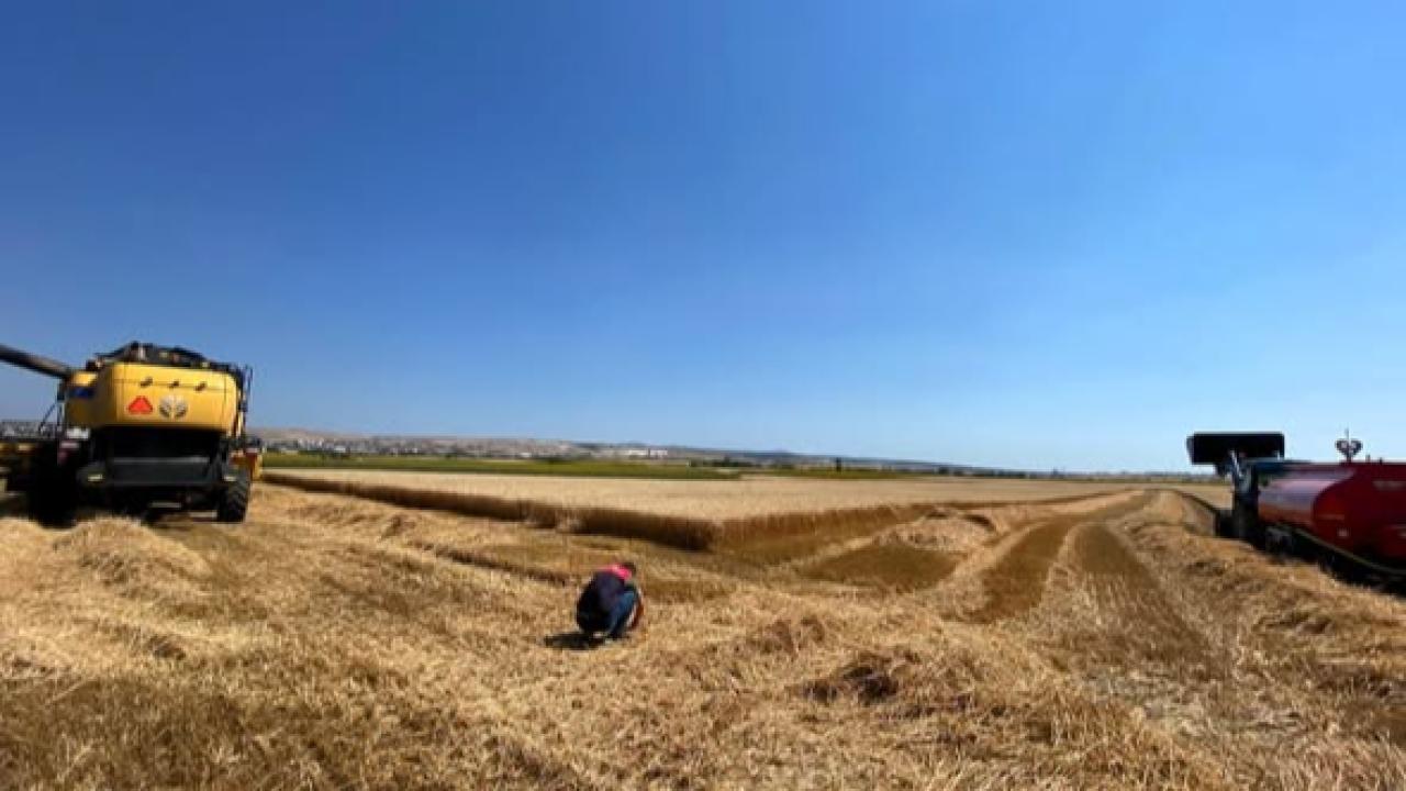 Kırklareli'nde Biçerdöver Denetimleri Başladı