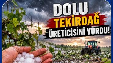 Tekirdağ'da Dolu Ayçiçeği ve Karpuzu Vurdu!